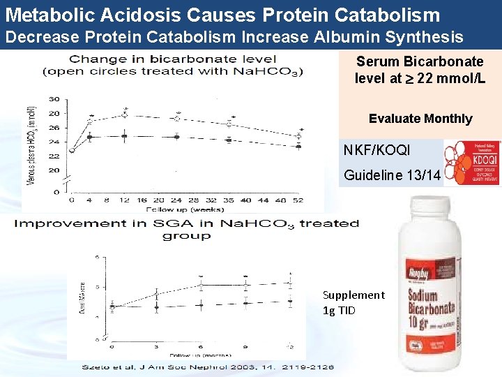 Metabolic Acidosis Causes Protein Catabolism Decrease Protein Catabolism Increase Albumin Synthesis Serum Bicarbonate level