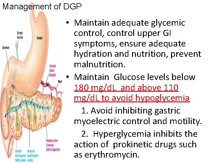 Management of DGP • Maintain adequate glycemic control, control upper GI symptoms, ensure adequate