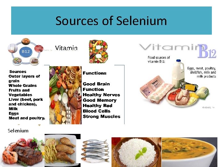 Sources of Selenium 