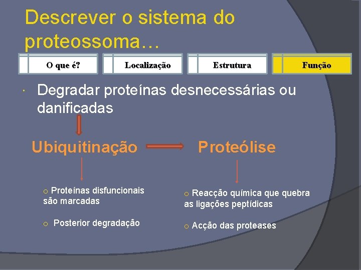 Descrever o sistema do proteossoma… O que é? Localização Estrutura Função Degradar proteínas desnecessárias