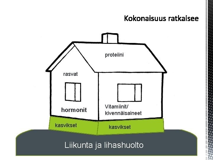 proteiini rasvat hormonit kasvikset Vitamiinit/ kivennäisaineet kasvikset Liikunta ja lihashuolto proteiini rasvat hormonit kasvikset Vitamiinit/ kivennäisaineet kasvikset Liikunta ja lihashuolto
