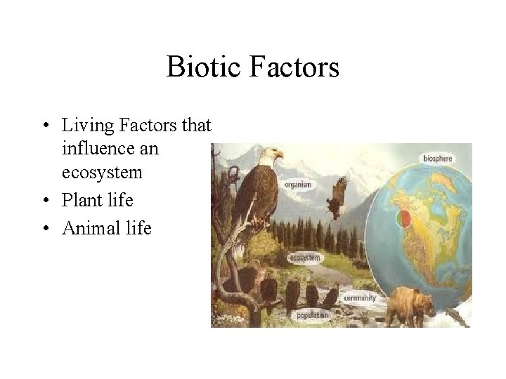 Biotic Factors • Living Factors that influence an ecosystem • Plant life • Animal