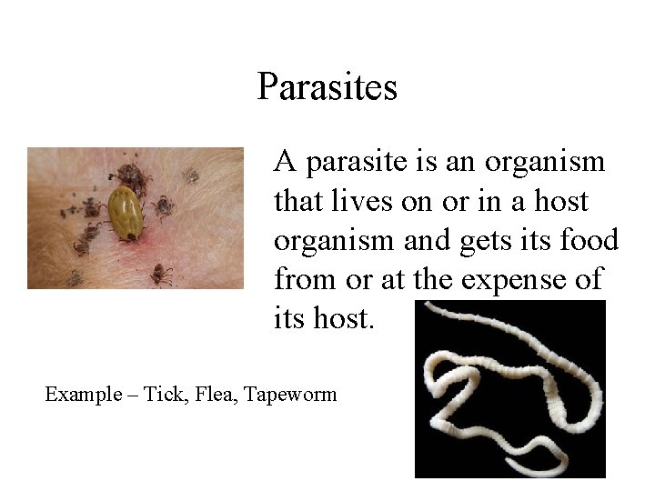 Parasites A parasite is an organism that lives on or in a host organism