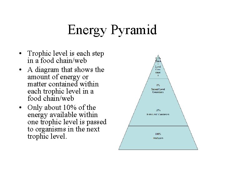 Energy Pyramid • Trophic level is each step in a food chain/web • A