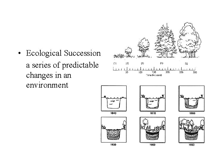  • Ecological Succession a series of predictable changes in an environment 
