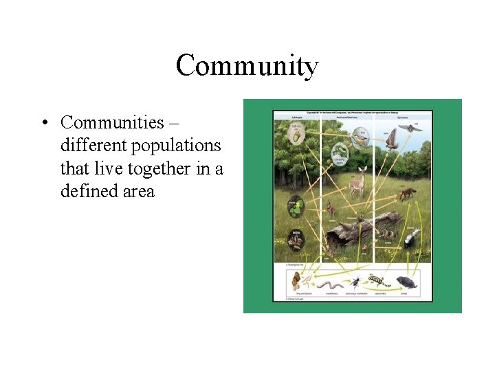 Community • Communities – different populations that live together in a defined area 