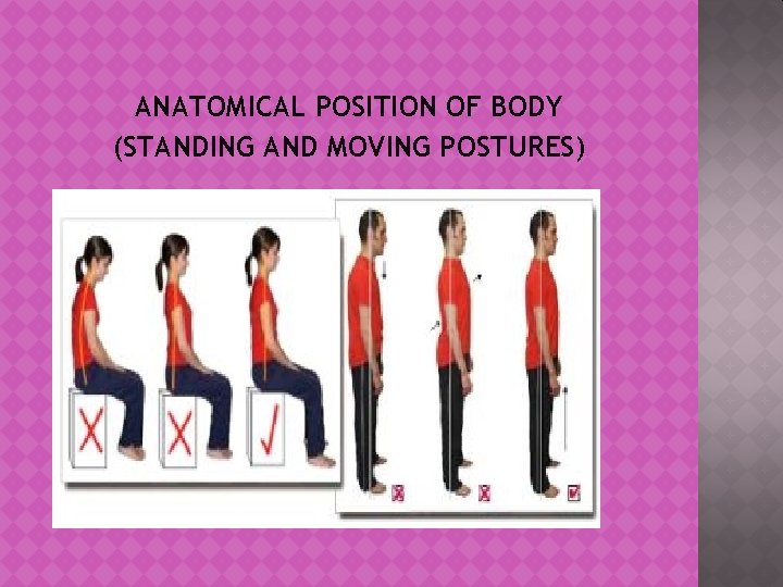 ANATOMICAL POSITION OF BODY (STANDING AND MOVING POSTURES) 