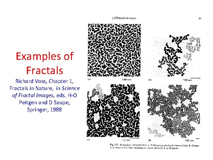 Examples of Fractals Richard Voss, Chapter 1, Fractals in Nature, in Science of Fractal