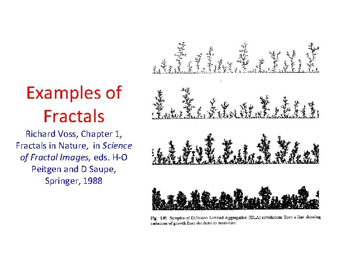 Examples of Fractals Richard Voss, Chapter 1, Fractals in Nature, in Science of Fractal