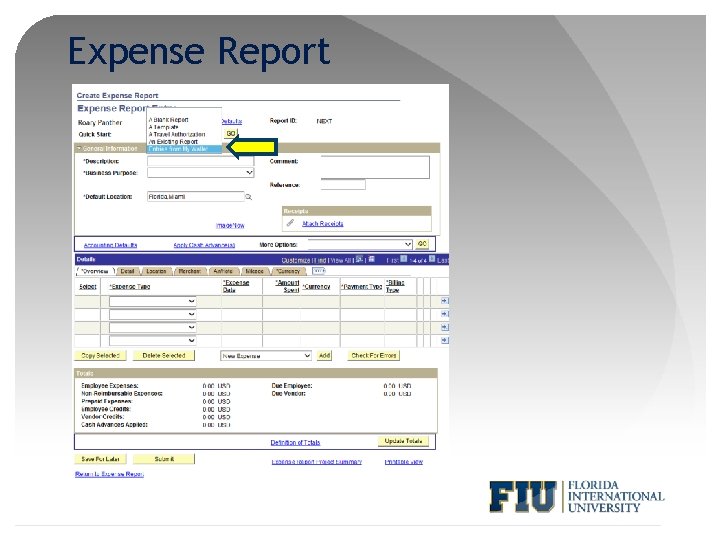 Expense Report 