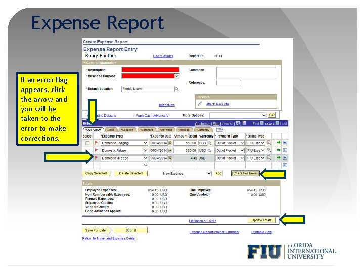 Expense Report If an error flag appears, click the arrow and you will be