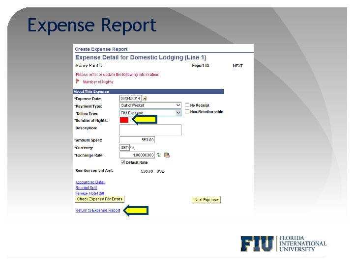 Expense Report 