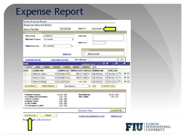 Expense Report 