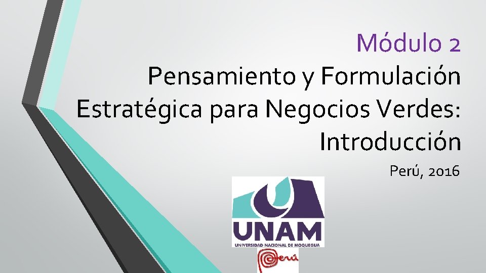 Módulo 2 Pensamiento y Formulación Estratégica para Negocios Verdes: Introducción Perú, 2016 