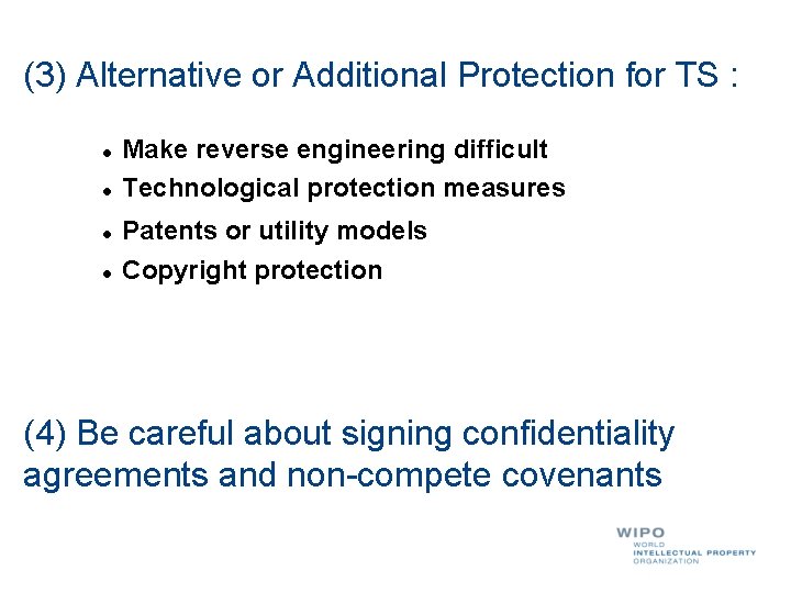 (3) Alternative or Additional Protection for TS : l l Make reverse engineering difficult