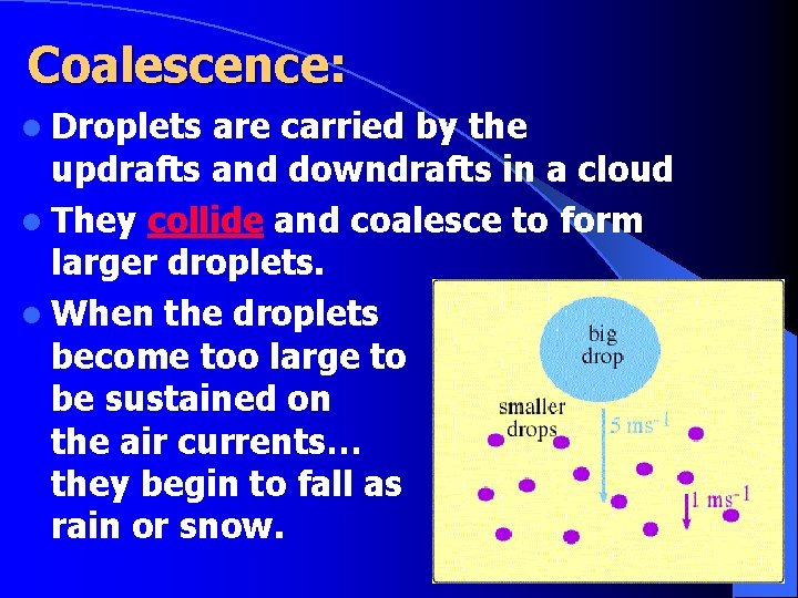 Coalescence: l Droplets are carried by the updrafts and downdrafts in a cloud l