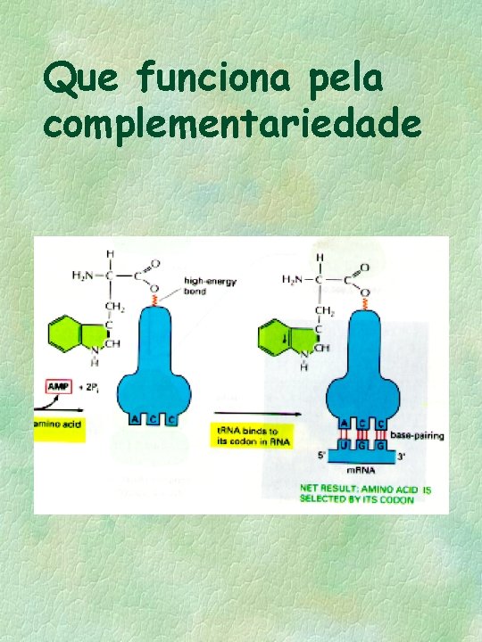 Que funciona pela complementariedade 