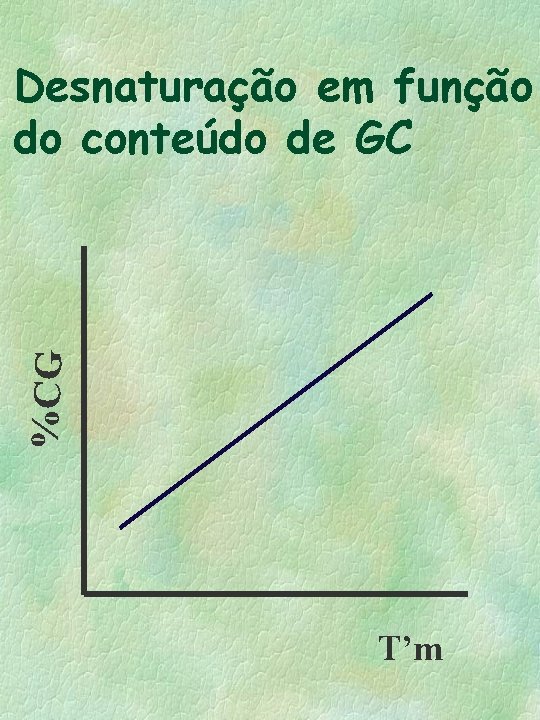 %CG Desnaturação em função do conteúdo de GC T’m 