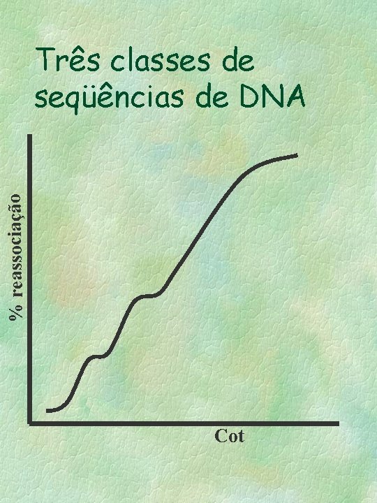 % reassociação Três classes de seqüências de DNA Cot 