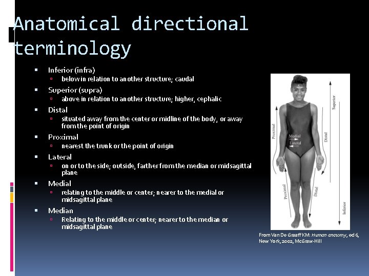 Anatomical directional terminology Inferior (infra) Superior (supra) on or to the side; outside, farther