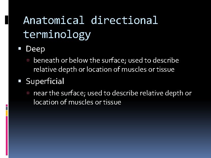 Anatomical directional terminology Deep beneath or below the surface; used to describe relative depth