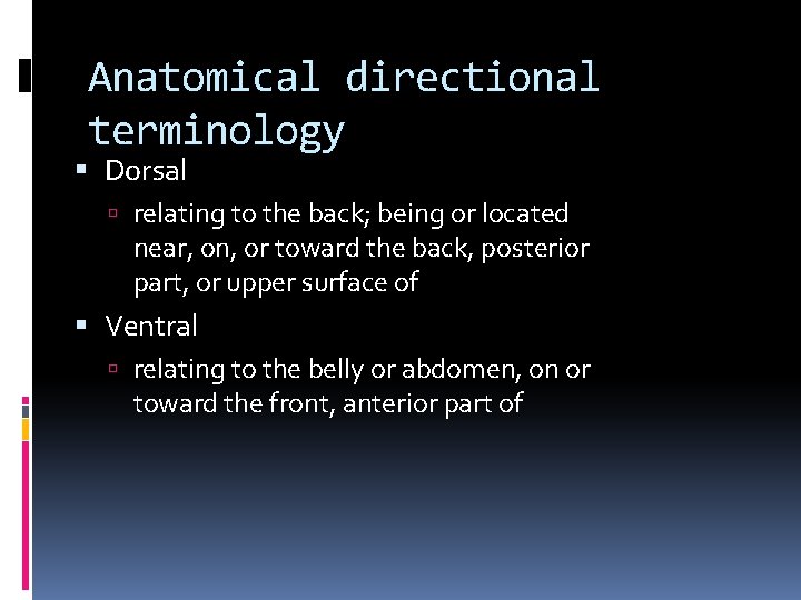 Anatomical directional terminology Dorsal relating to the back; being or located near, on, or