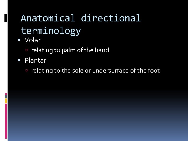 Anatomical directional terminology Volar relating to palm of the hand Plantar relating to the