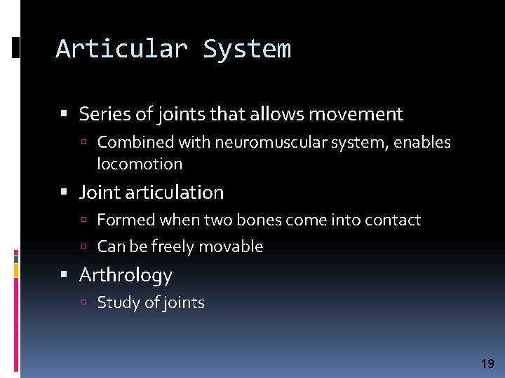 Articular System Series of joints that allows movement Combined with neuromuscular system, enables locomotion