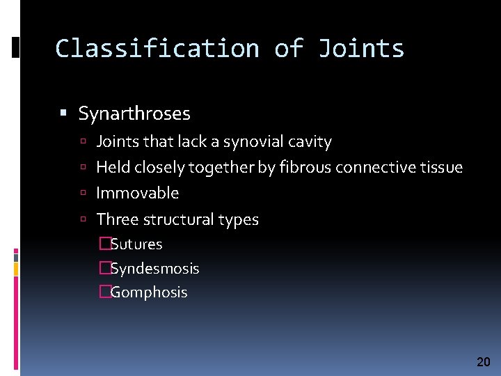 Classification of Joints Synarthroses Joints that lack a synovial cavity Held closely together by