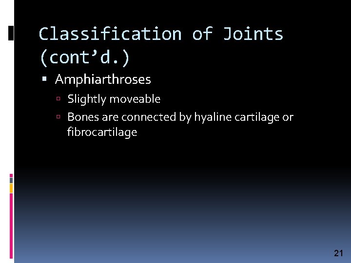 Classification of Joints (cont’d. ) Amphiarthroses Slightly moveable Bones are connected by hyaline cartilage