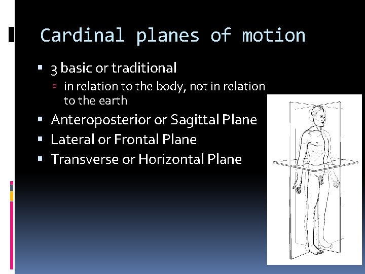 Cardinal planes of motion 3 basic or traditional in relation to the body, not