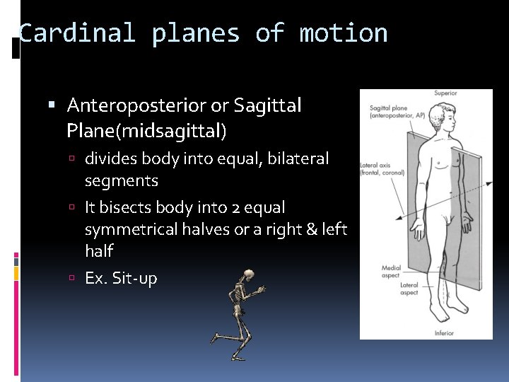 Cardinal planes of motion Anteroposterior or Sagittal Plane(midsagittal) divides body into equal, bilateral segments