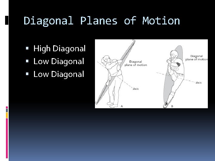 Diagonal Planes of Motion High Diagonal Low Diagonal 
