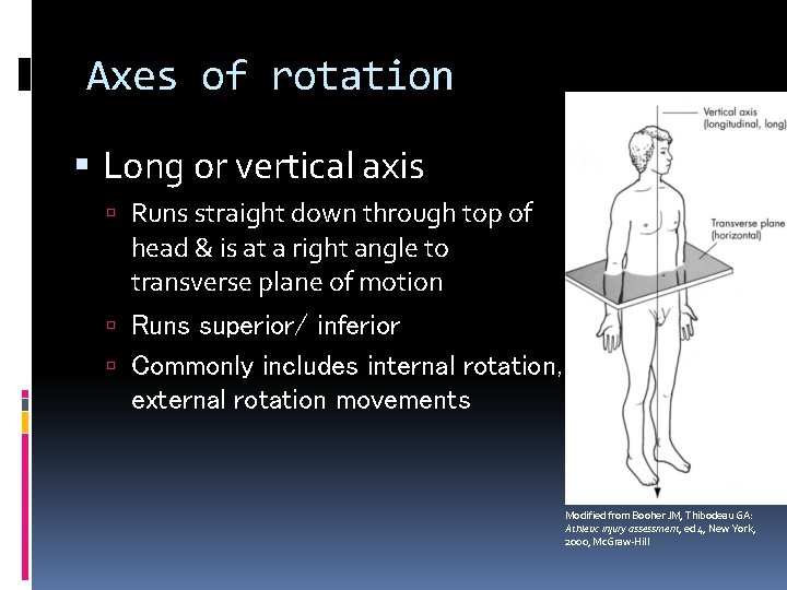 Axes of rotation Long or vertical axis Runs straight down through top of head