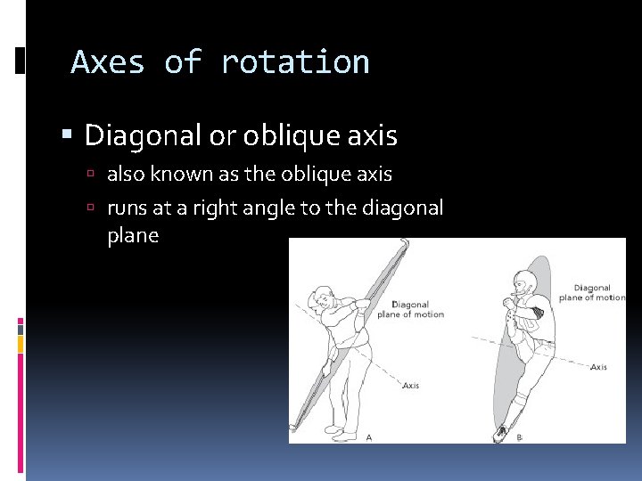 Axes of rotation Diagonal or oblique axis also known as the oblique axis runs