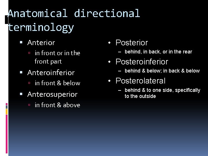 Anatomical directional terminology Anterior in front or in the front part Anteroinferior in front