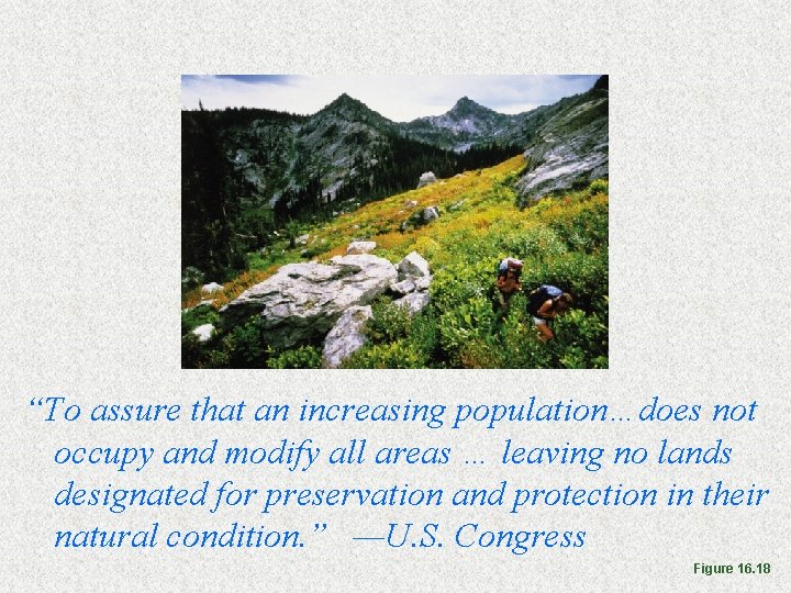Wilderness areas “To assure that an increasing population…does not occupy and modify all areas