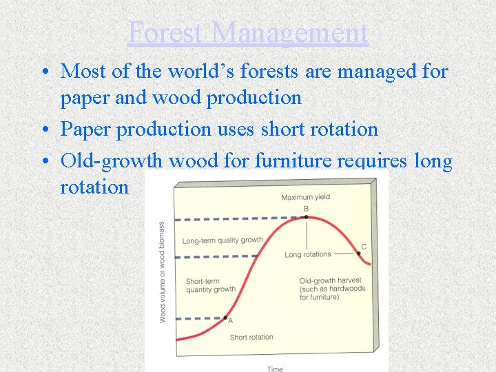 Forest Management • Most of the world’s forests are managed for paper and wood