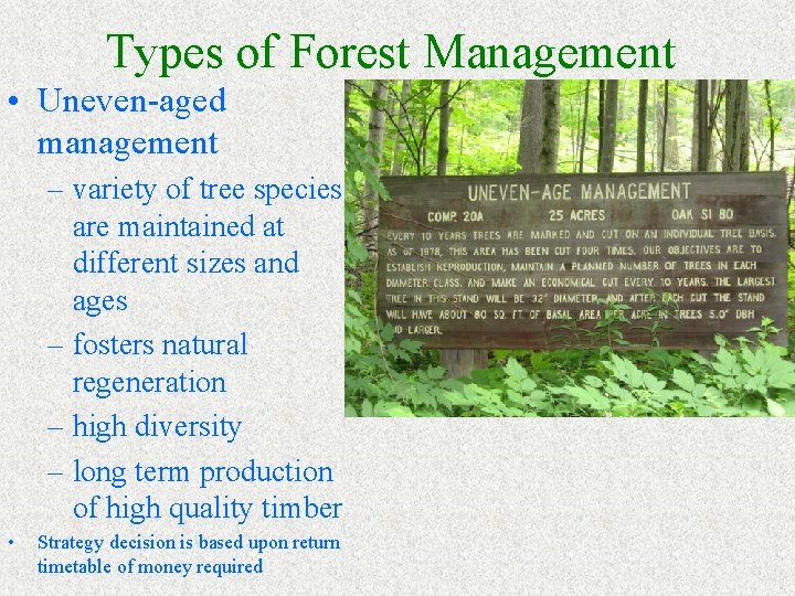 Types of Forest Management • Uneven-aged management – variety of tree species are maintained