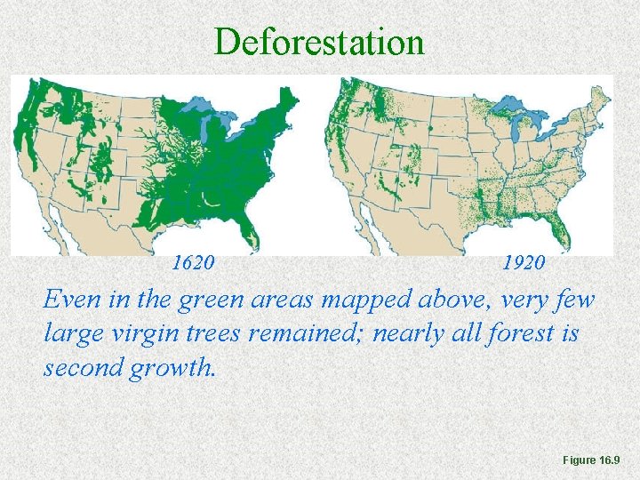 Deforestation • Over 3 centuries, Americans denuded most of their forests (green). 1620 1920