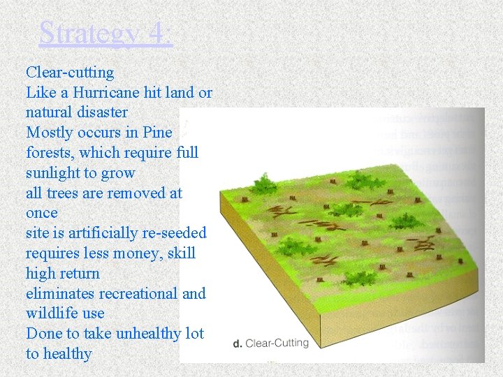 Strategy 4: Clear-cutting Like a Hurricane hit land or natural disaster Mostly occurs in