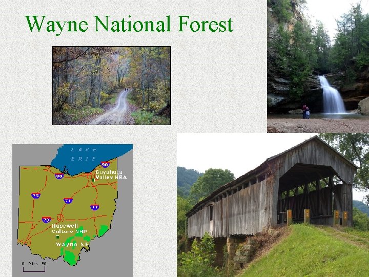 Wayne National Forest 