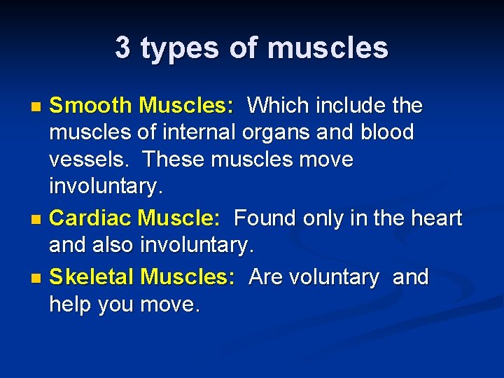 3 types of muscles Smooth Muscles: Which include the muscles of internal organs and