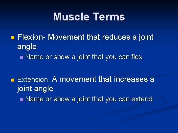 Muscle Terms n Flexion- Movement that reduces a joint angle n n Name or