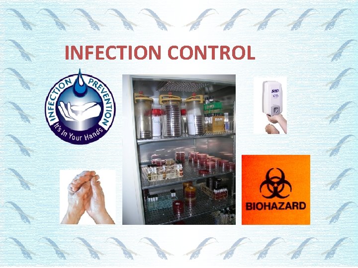 INFECTION CONTROL 