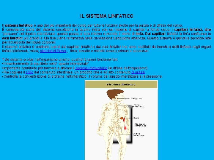 IL SISTEMA LINFATICO Il sistema linfatico è uno dei più importanti del corpo per