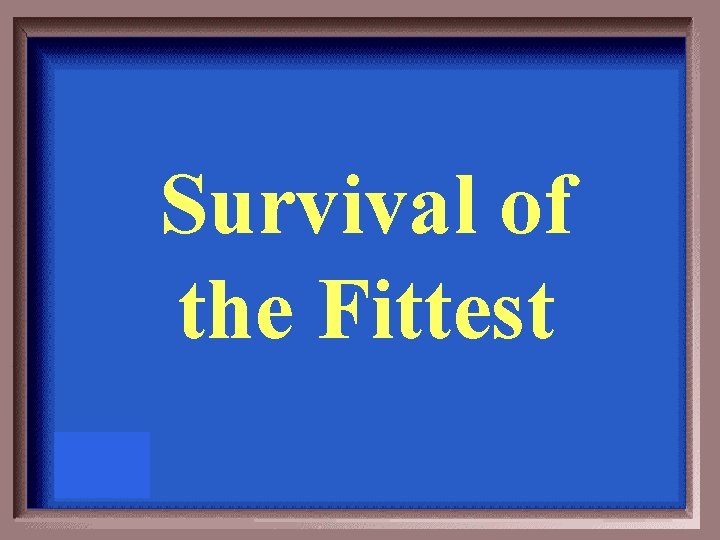 Survival of the Fittest 