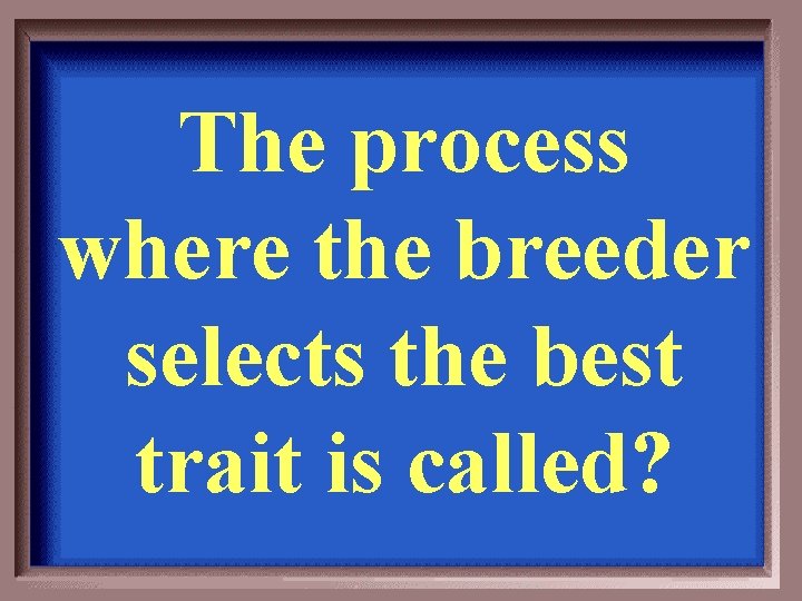 The process where the breeder selects the best trait is called? 