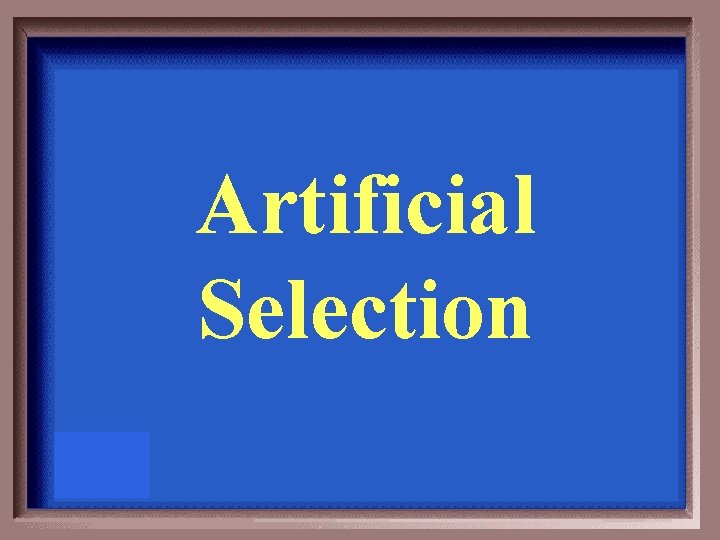 Artificial Selection 