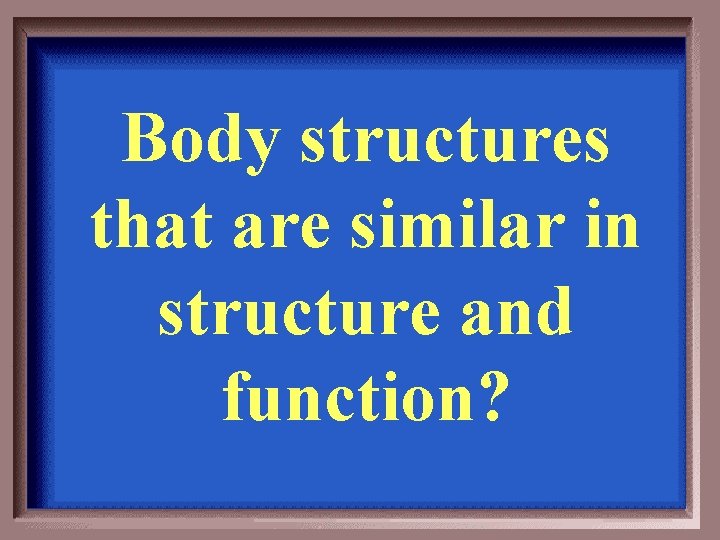 Body structures that are similar in structure and function? 